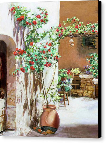 Climbing roses - Canvas Print