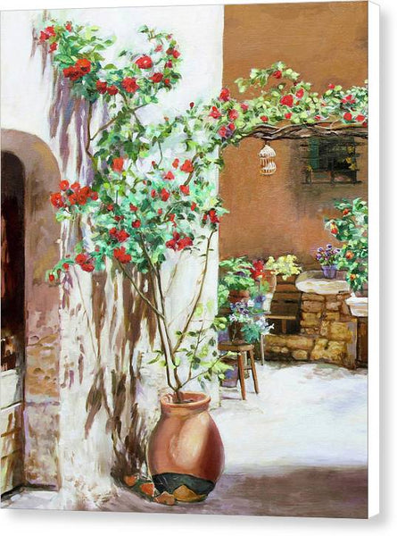 Climbing roses - Canvas Print
