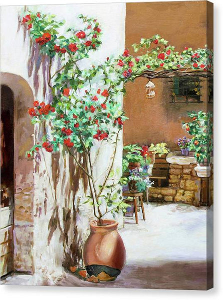Climbing roses - Canvas Print
