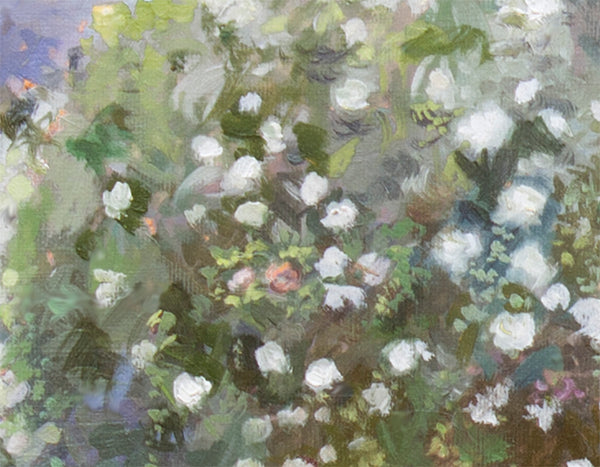 Roses In A Garden – Impressionist Garden Oil Painting by Dominique Amendola