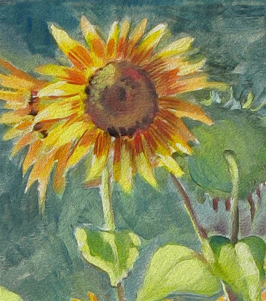 Sunflowers – Plein Air Autumn Still Life by Dominique Amendola