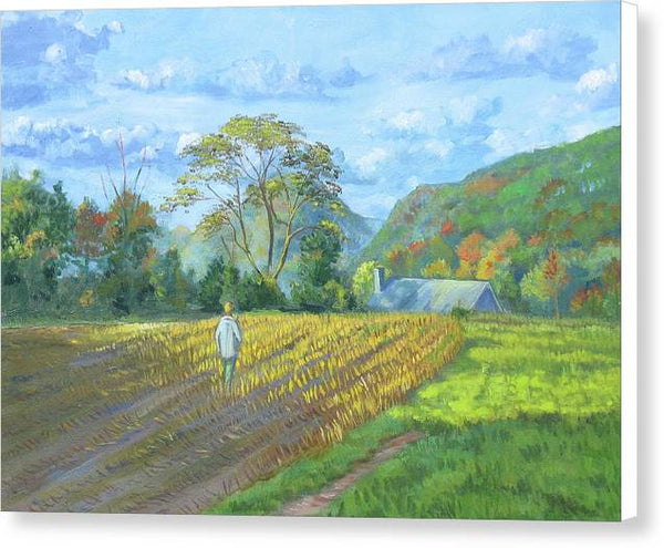 After the harvest - Canvas Print