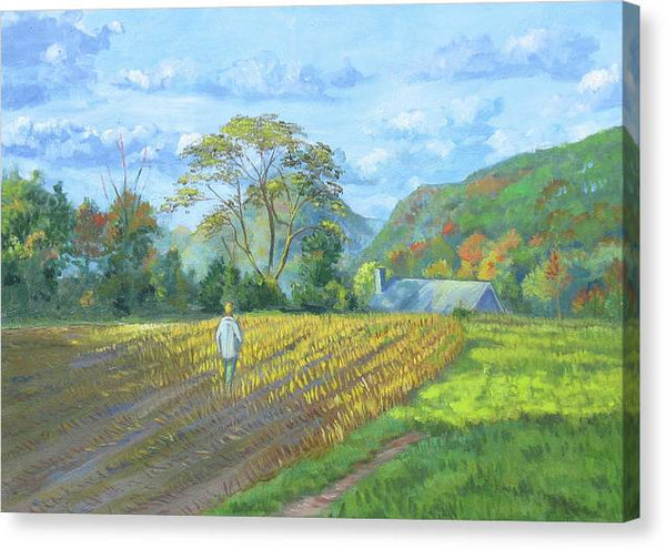 After the harvest - Canvas Print