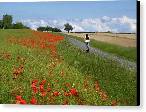 Champs de coquelicots - Canvas Print