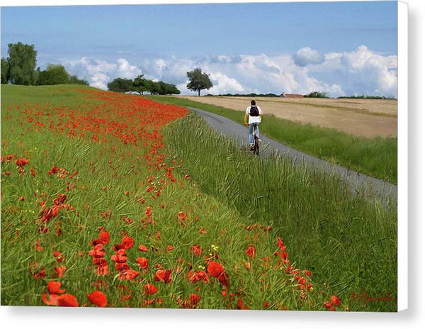 Champs de coquelicots - Canvas Print
