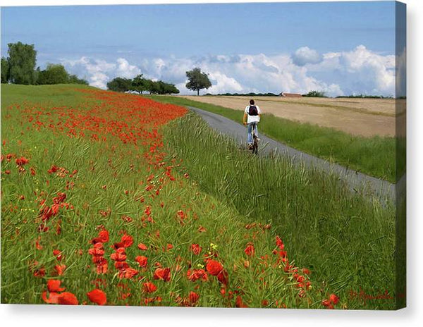 Champs de coquelicots - Canvas Print