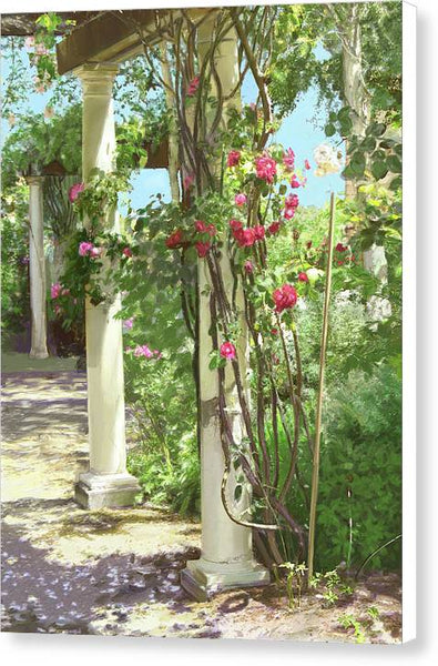 Climbing roses - Canvas Print