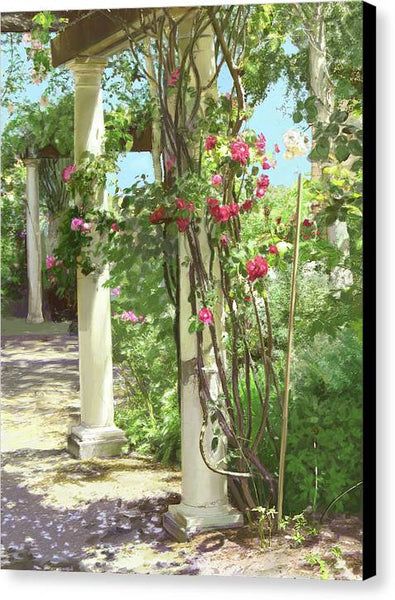 Climbing roses - Canvas Print