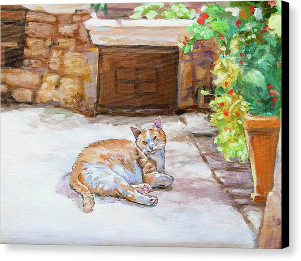 Lazy Cat - Canvas Print