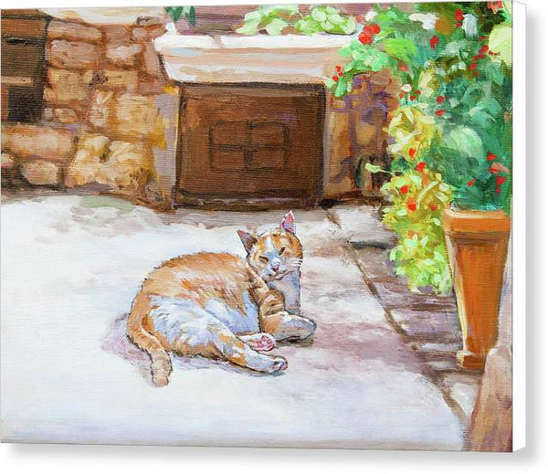 Lazy Cat - Canvas Print