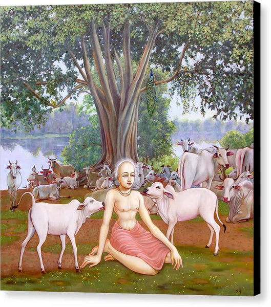 Mahaprabhu In Vrindavan 1 - Canvas Print