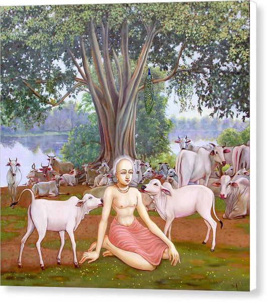 Mahaprabhu In Vrindavan 1 - Canvas Print