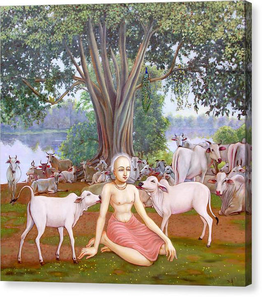 Mahaprabhu In Vrindavan 1 - Canvas Print