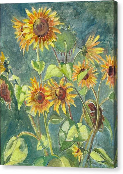 Sunflowers - Canvas Print