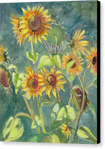 Sunflowers - Canvas Print