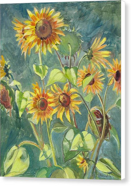 Sunflowers - Canvas Print