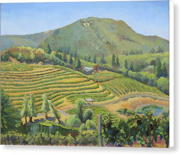 Vineyards In The Mountains - Canvas Print