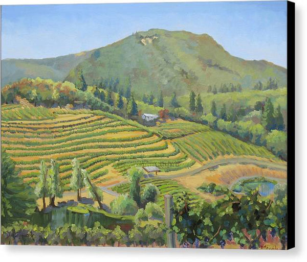 Vineyards In The Mountains - Canvas Print