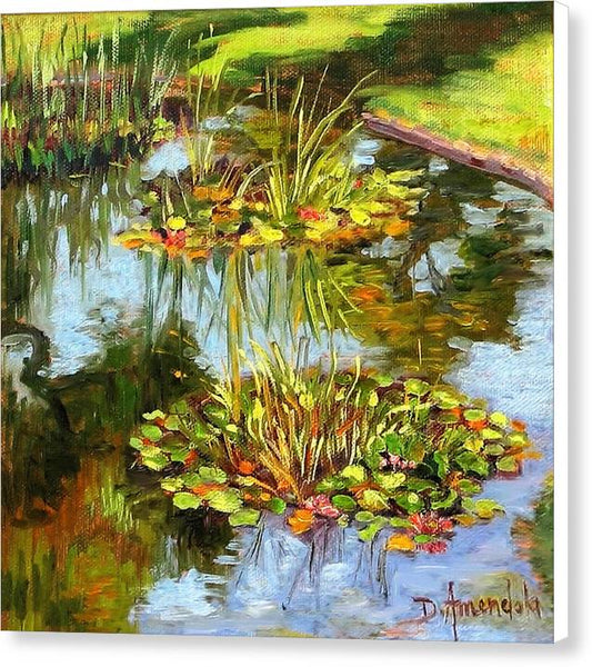 Water Lilies In California - Canvas Print