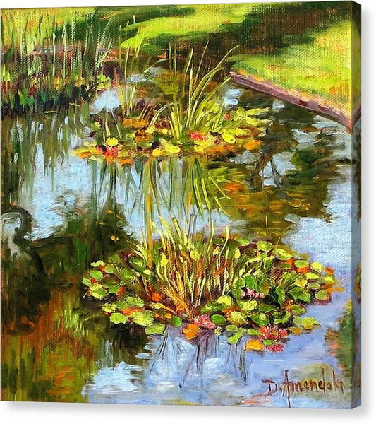 Water Lilies In California - Canvas Print