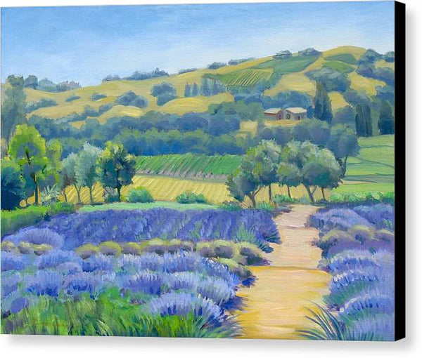 Lavender Field - Canvas Print