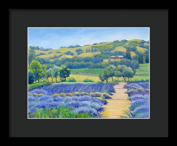 Lavender Field - Framed Print