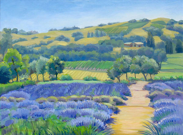 Lavender Field - Art Print