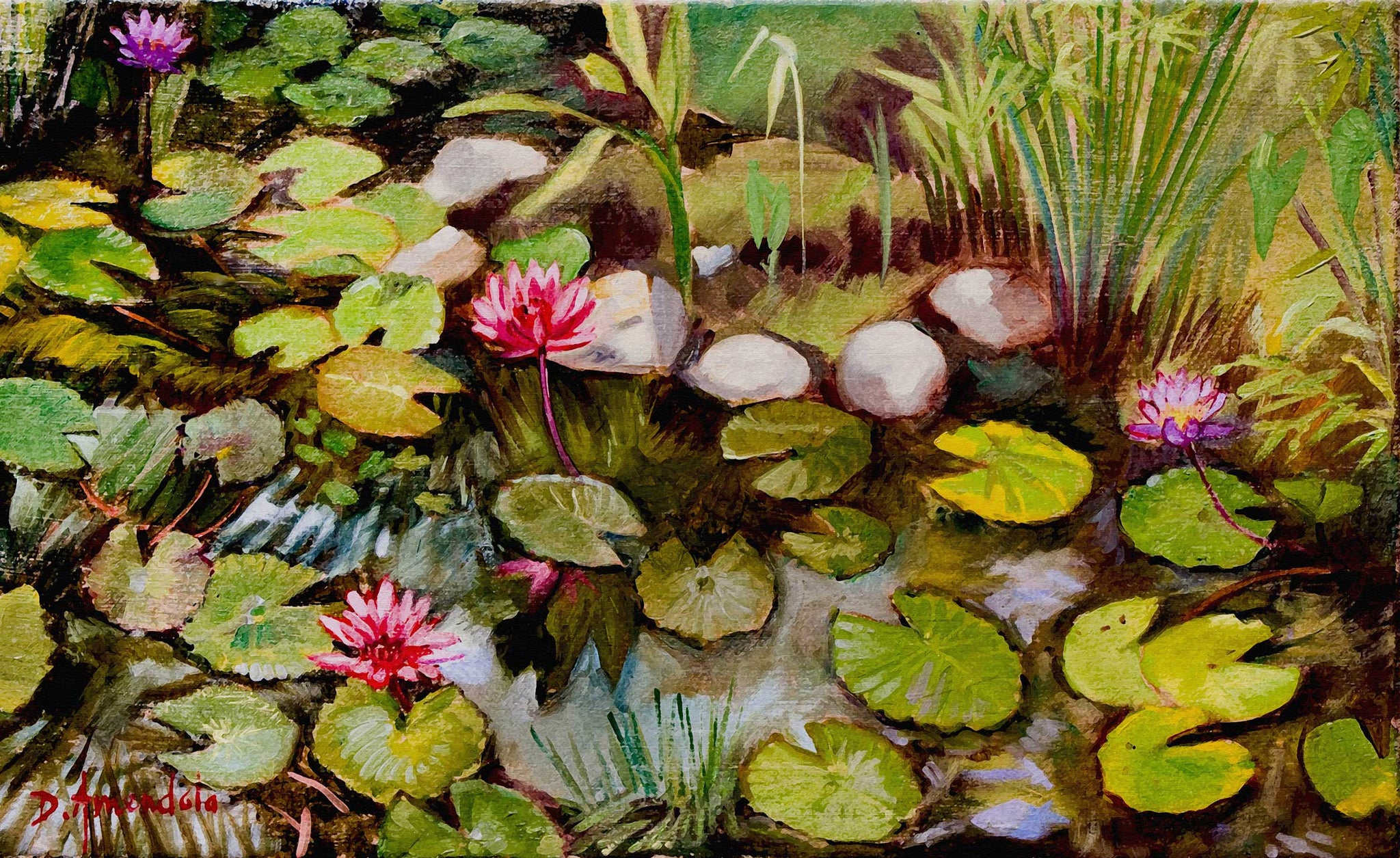 Water Lilies In India