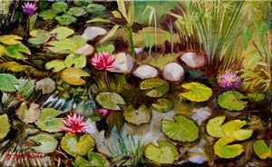 Water Lilies In India
