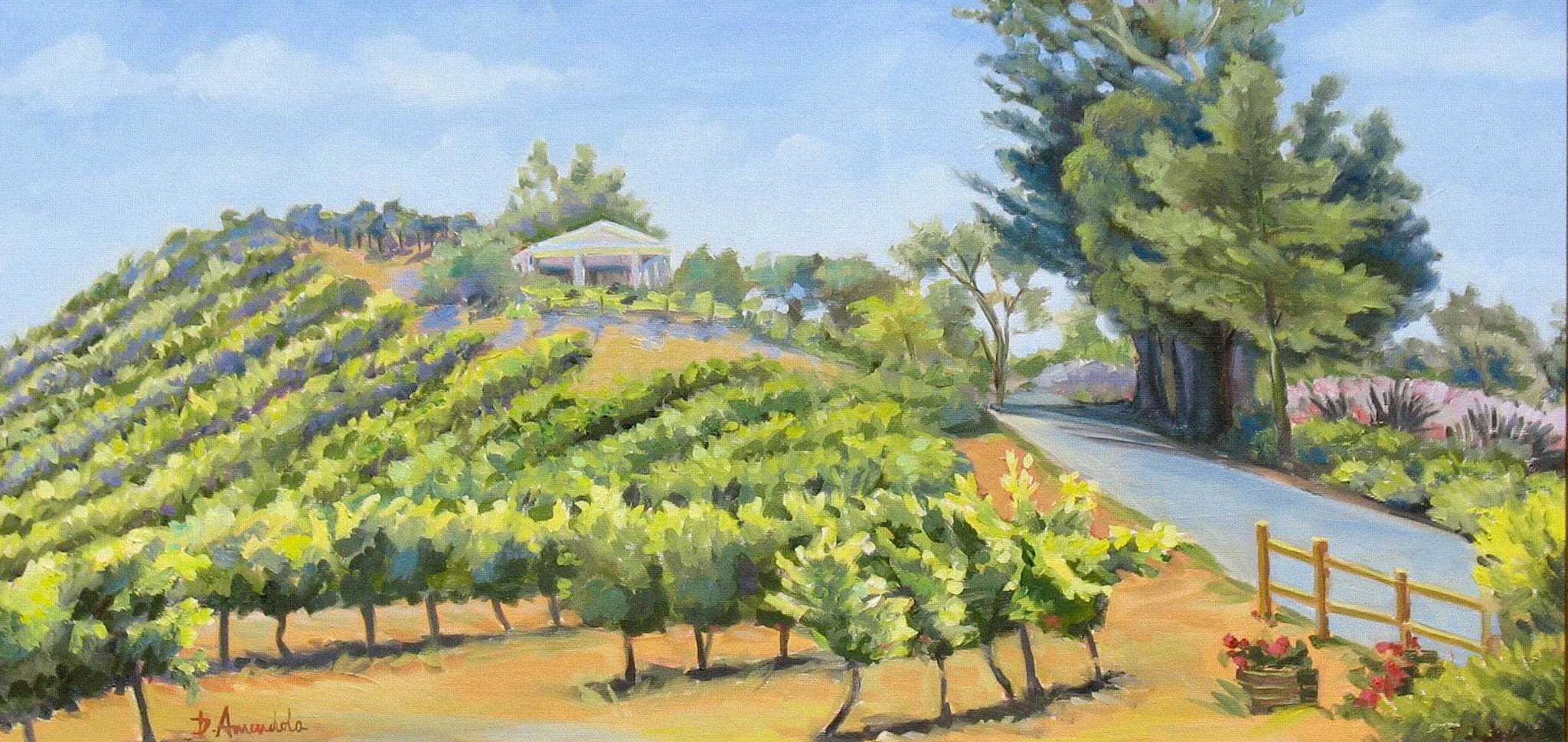 Vineyards On A Hill