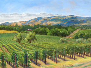 Vineyards in Sonoma, CA