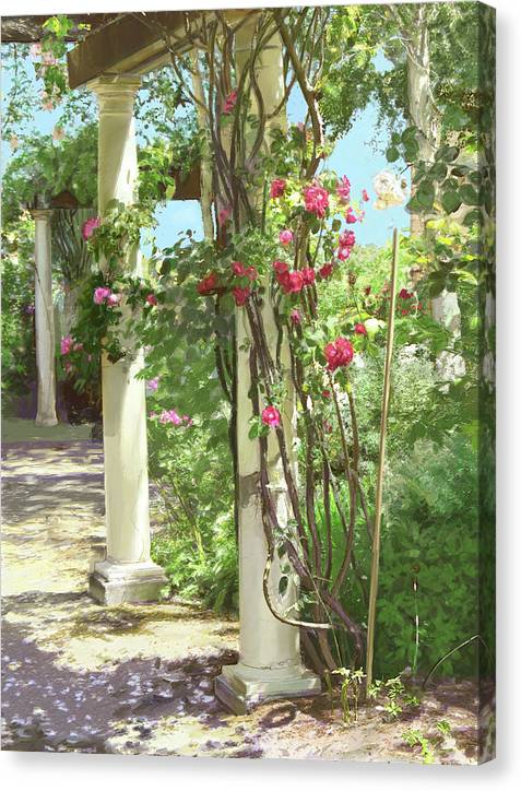 Climbing roses - Canvas Print