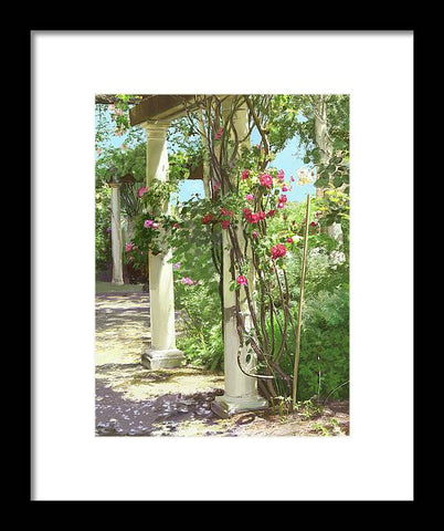 Climbing roses - Framed Print