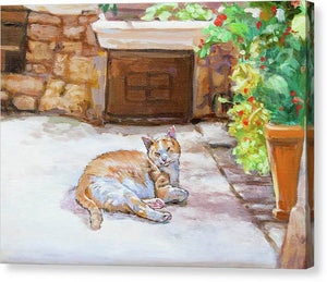 Lazy Cat - Canvas Print