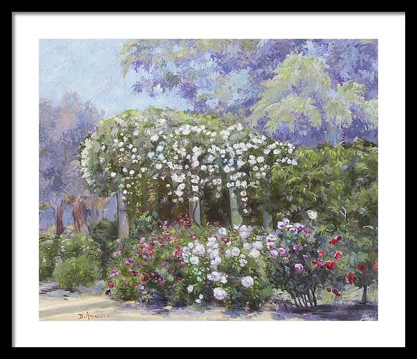 Roses in a garden - Framed Print