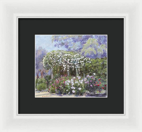 Roses in a garden - Framed Print
