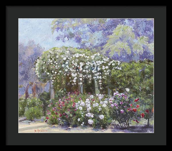 Roses in a garden - Framed Print