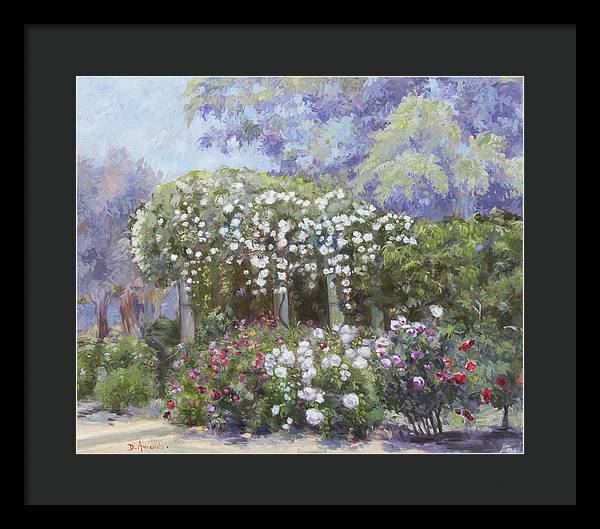 Roses in a garden - Framed Print