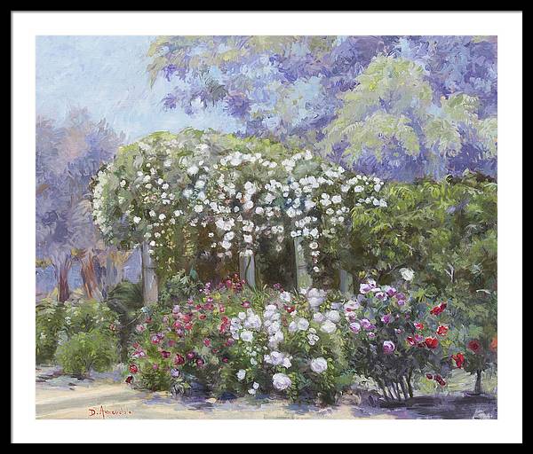 Roses in a garden - Framed Print