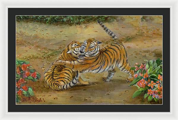 Tiger Cubs At Play - Framed Print