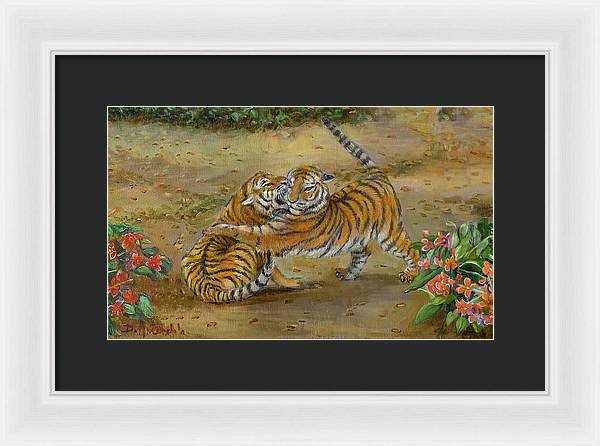 Tiger Cubs At Play - Framed Print