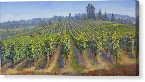 Vineyards In California - Canvas Print