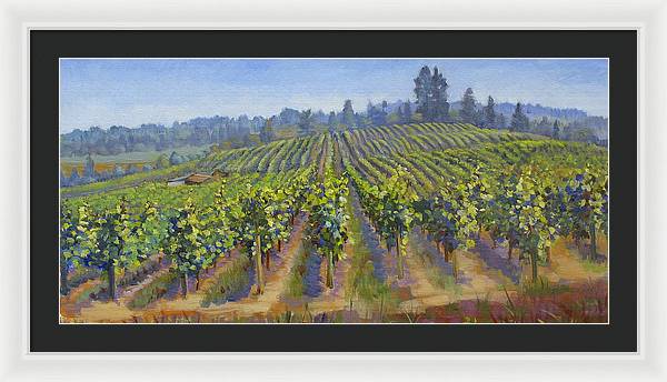 Vineyards In California - Framed Print