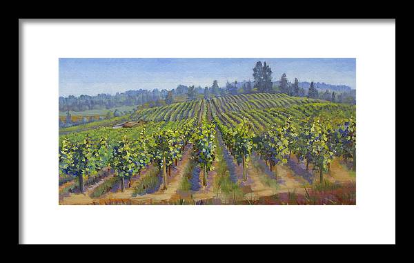 Vineyards In California - Framed Print