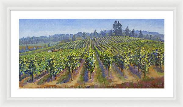 Vineyards In California - Framed Print