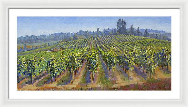 Vineyards In California - Framed Print