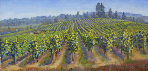 Vineyards In California - Art Print
