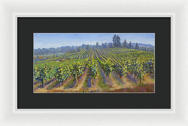 Vineyards In California - Framed Print