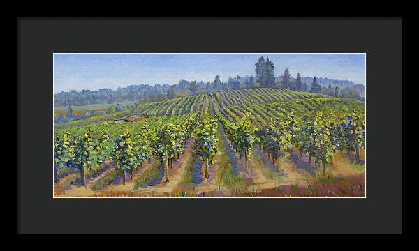 Vineyards In California - Framed Print