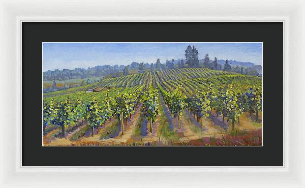 Vineyards In California - Framed Print